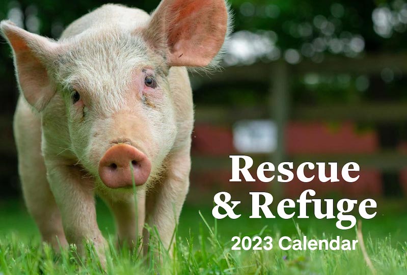 2023 Rescue & Refuge Calendar