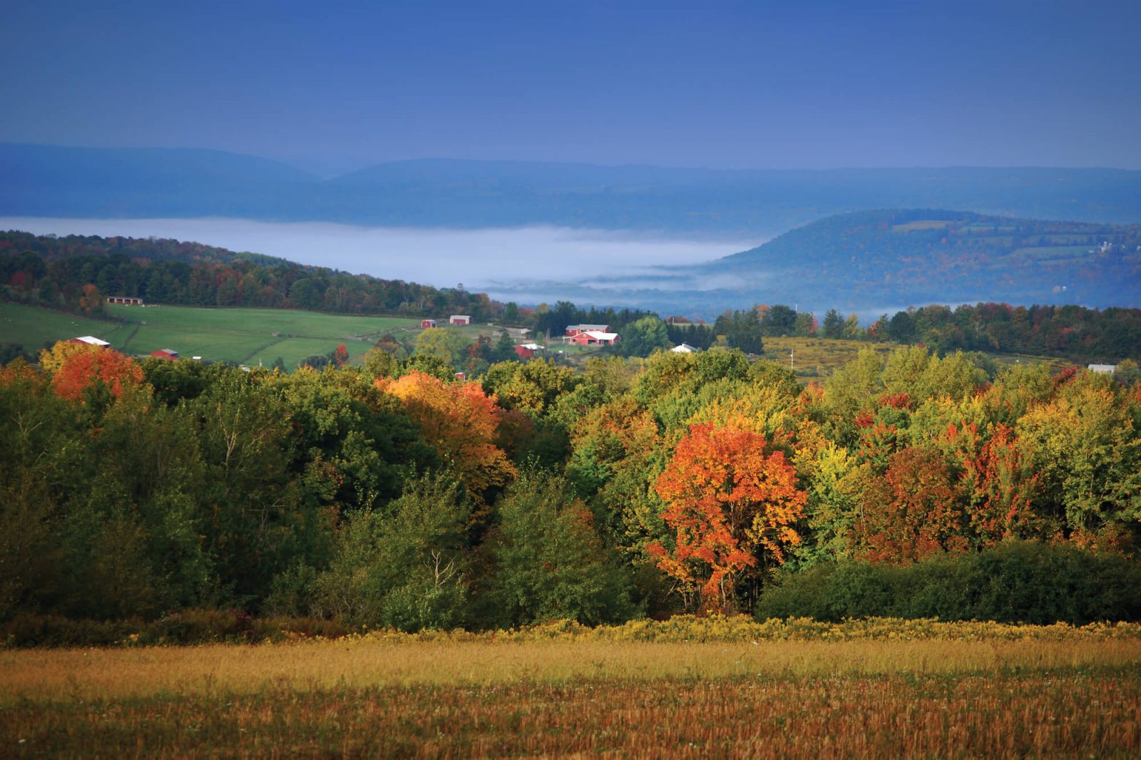 Fall foliage amidst a sprawling countryside backdrop