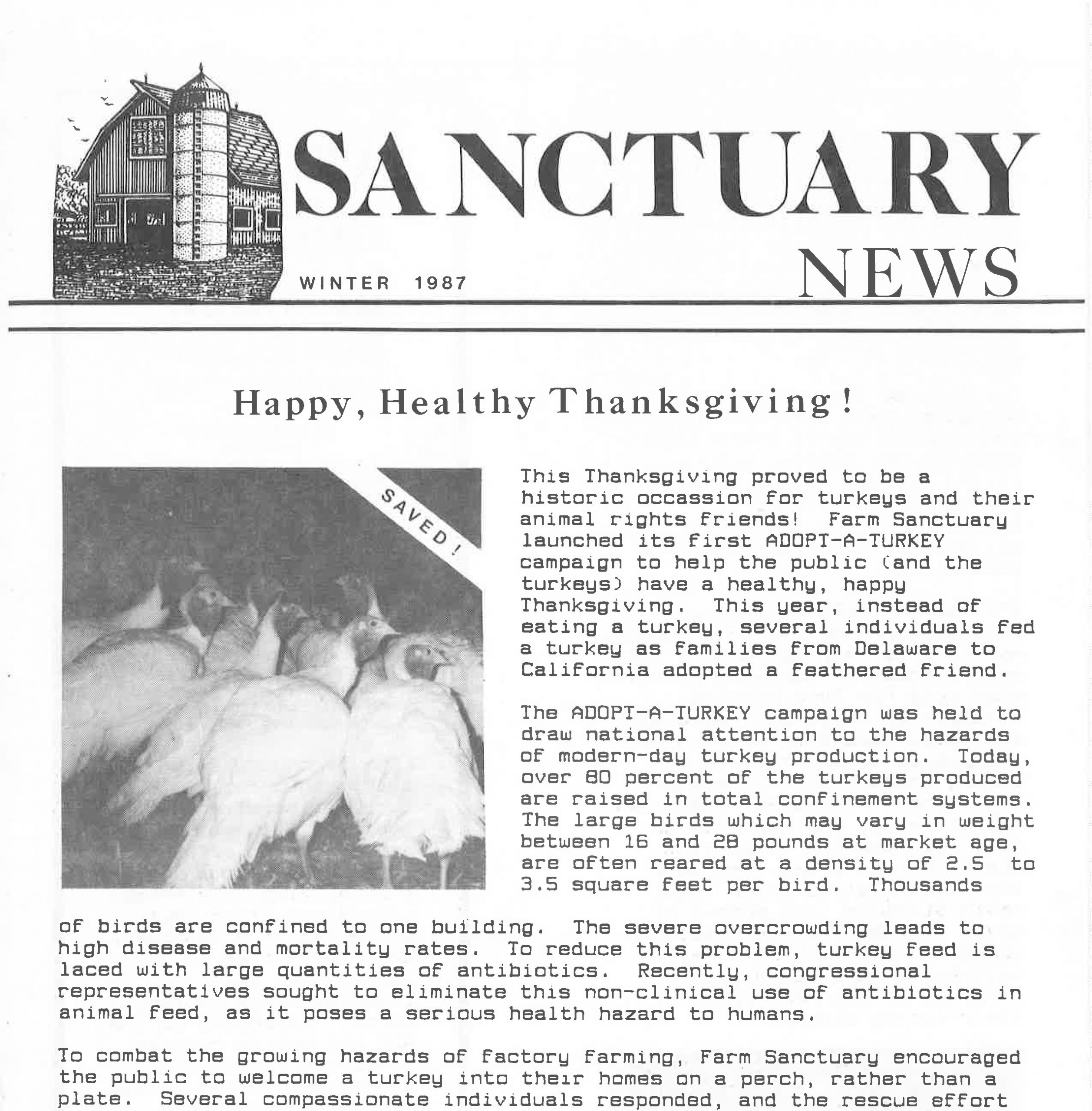 A clipping of the 1987 Winter issue of Sanctuary News featuring a story about the Adopt a Turkey program