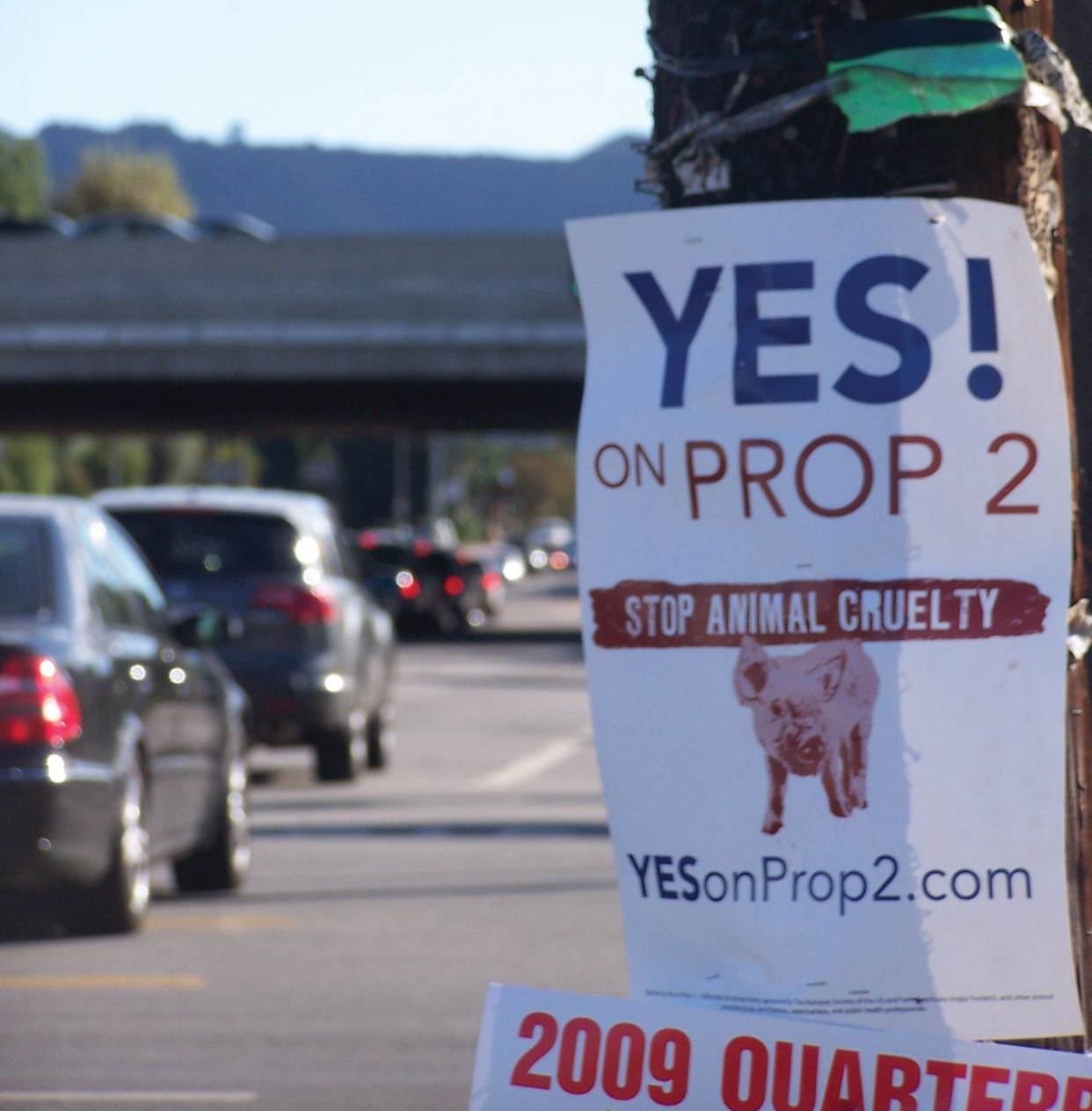 Yes on Prop 2 sign in California.