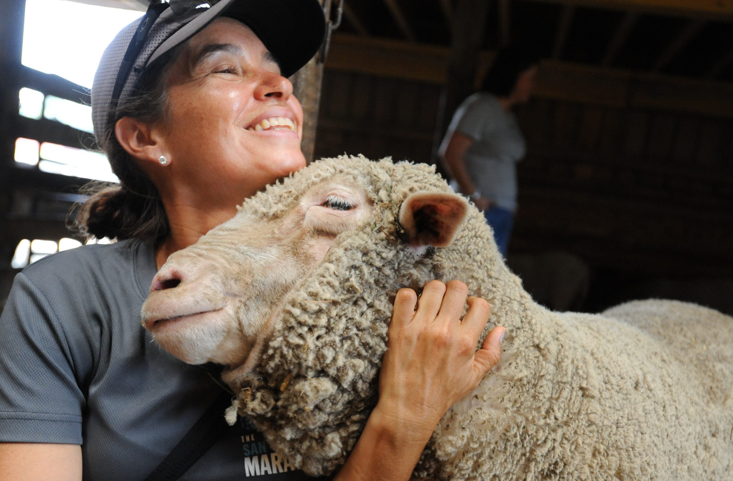 Guest with sheep at Farm Sanctuary, credit Jo-Anne McArthur
