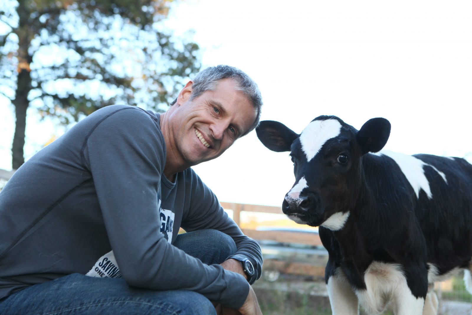 Gene Baur with Ari calf at Farm Sanctuary.
