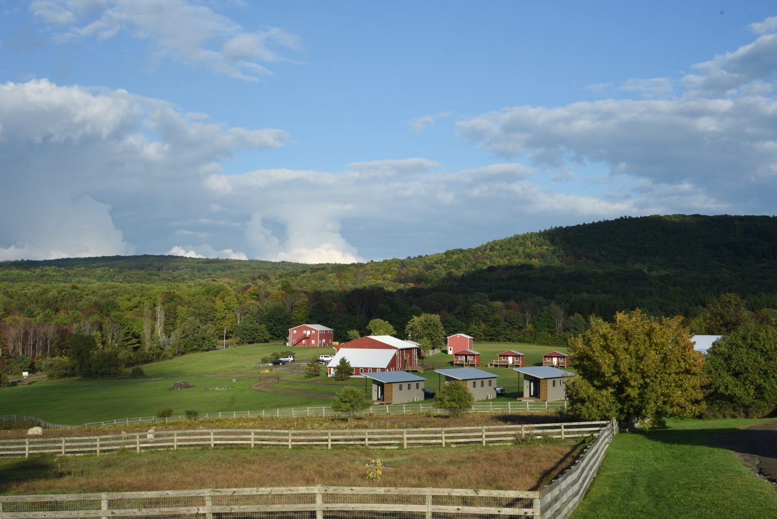 Cabins and cottages at Farm Sanctuary's New York shelter