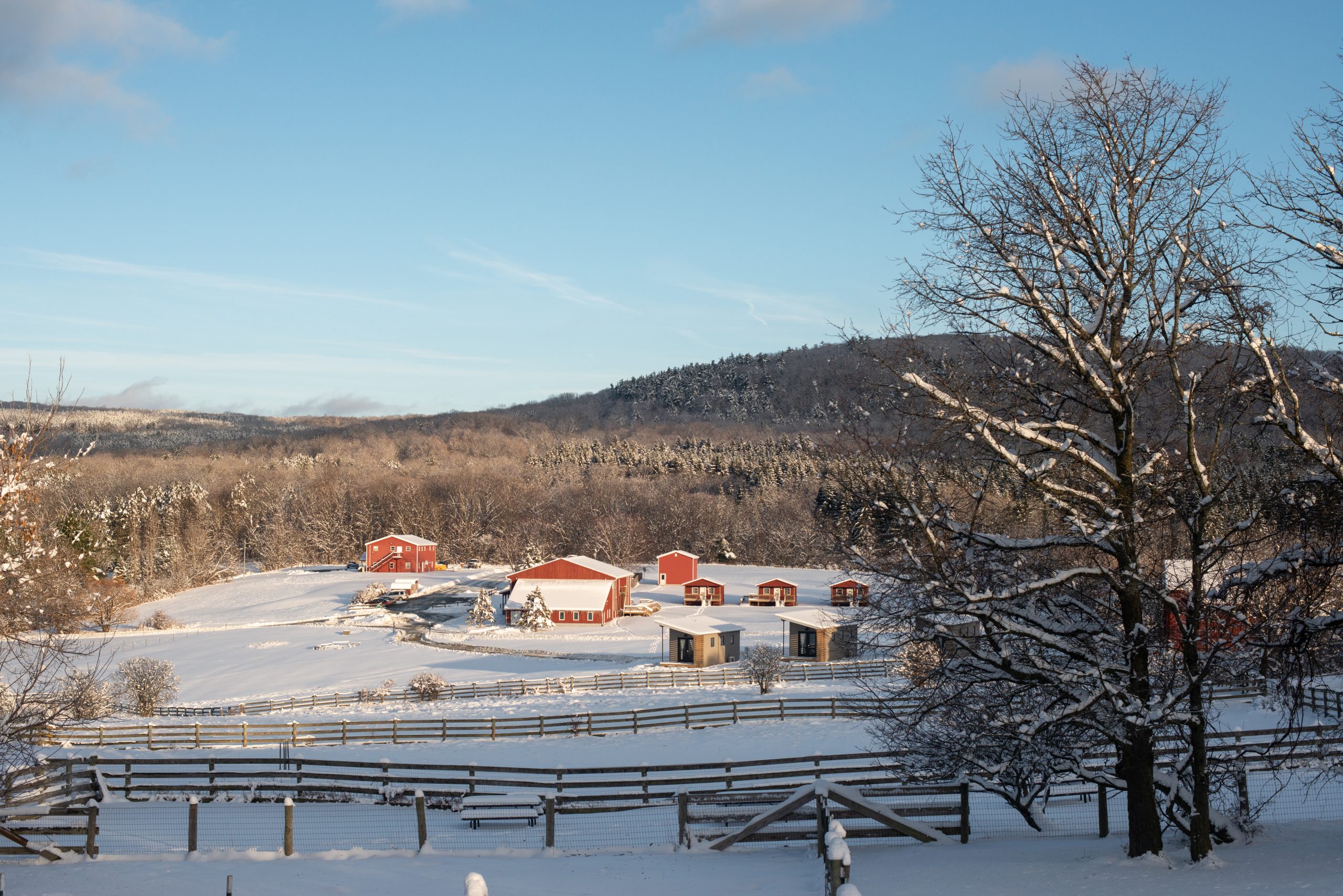 Snowy landscape at Farm Sanctuary