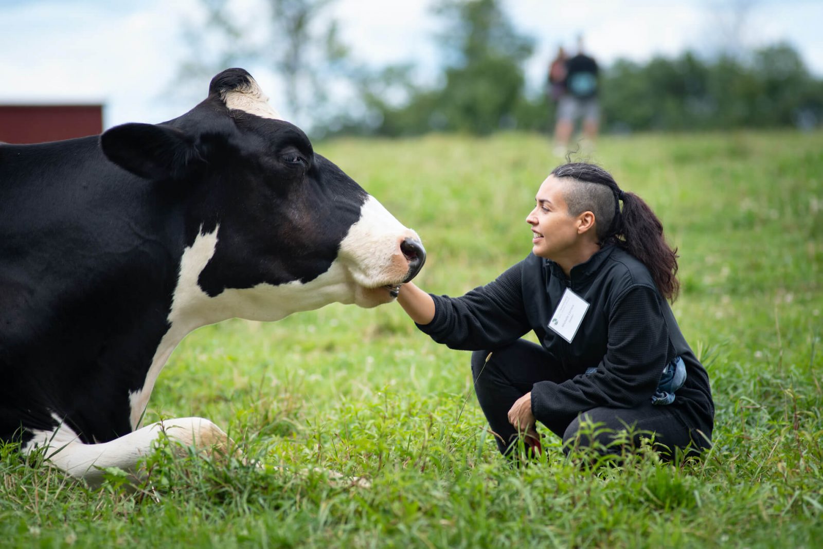 Queer Puerto Rican vegan activist, Michelle Carrera, visiting with Orlando steer at the Watkins Glen shelter in 2019.