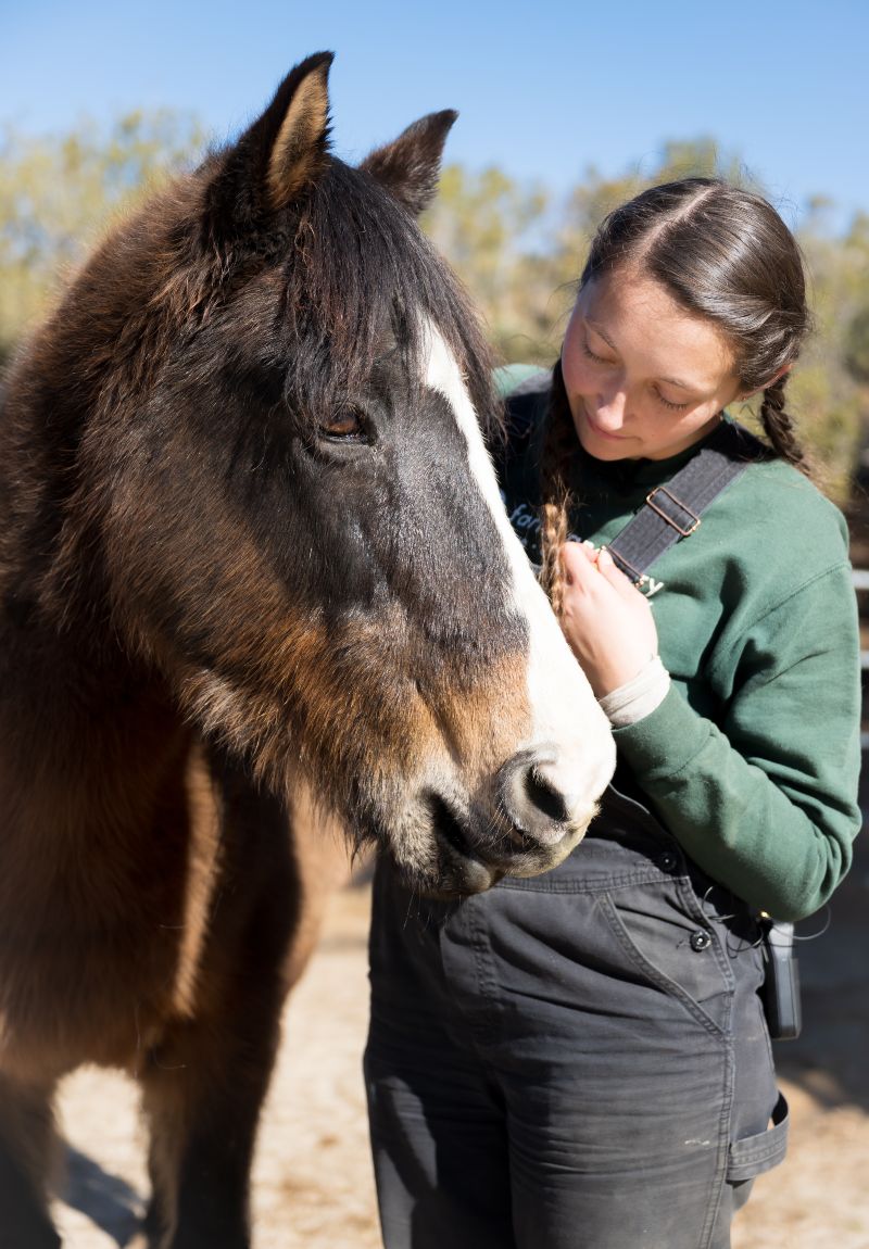 Darla horse with caregiver