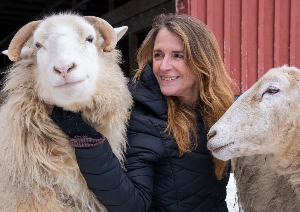 CEO Ellen O'Connell with sheep at Farm Sanctuary