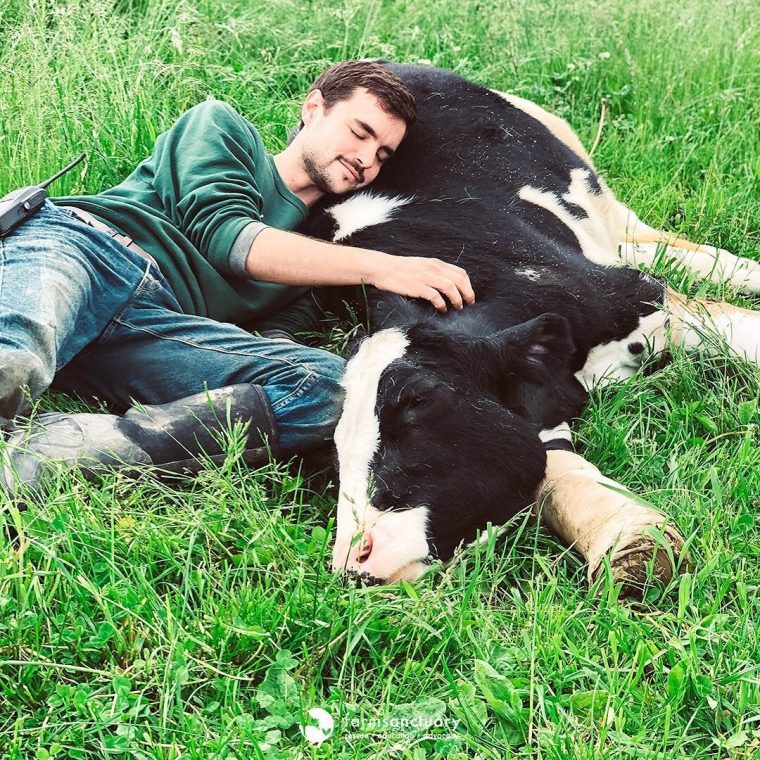 A photo of caregiver Daniel Singleton laying with a cow.