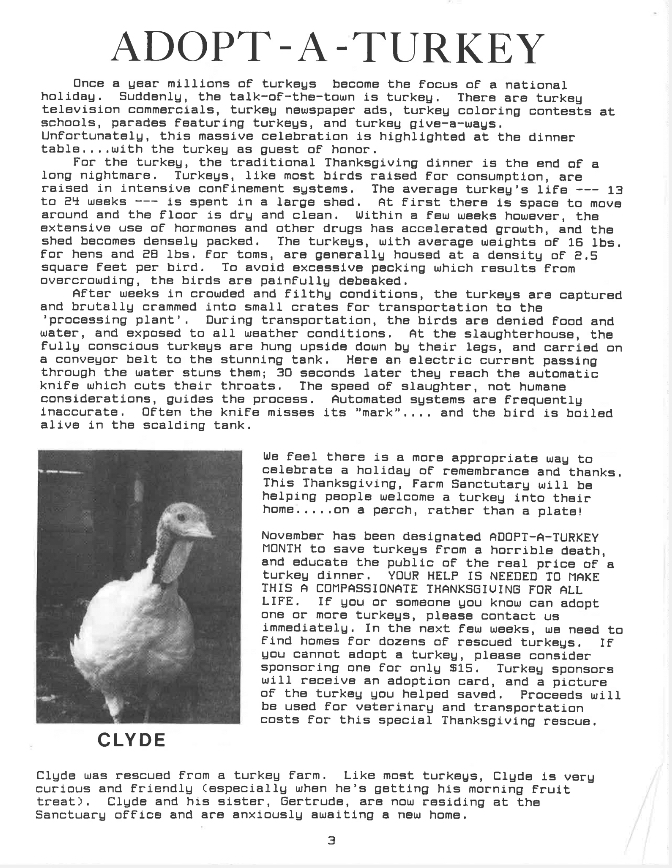 A screenshot of our 1986 newsletter featuring Adopt-A-Turkey