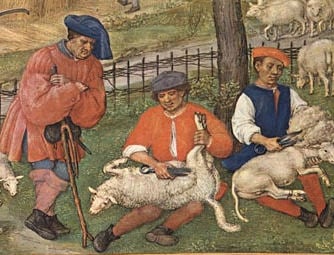 Sheep shearers, Flanders, from the Grimani Breviary c. 1510