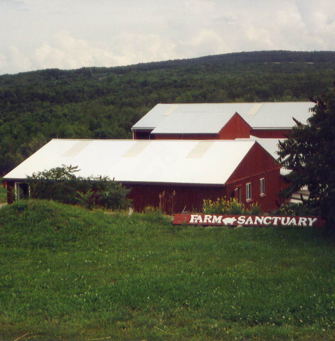 Watkins Glen Sanctuary