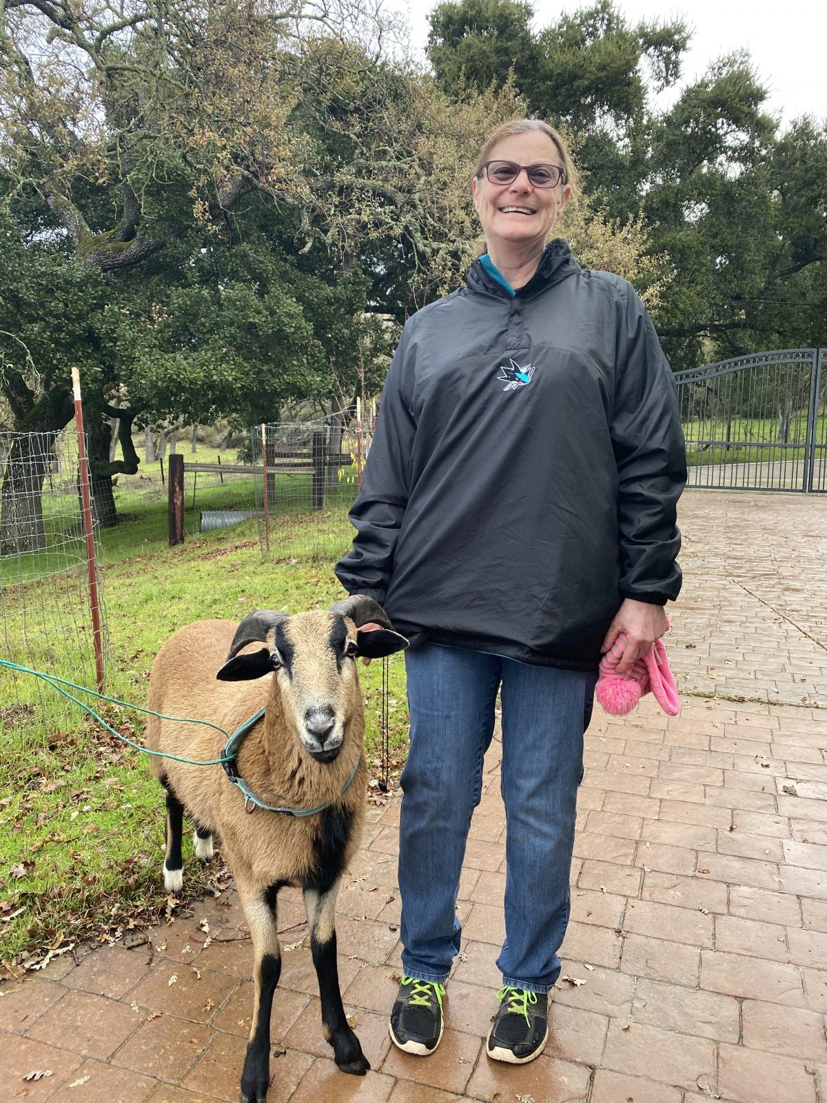 Boots sheep and his rescuer, Judy