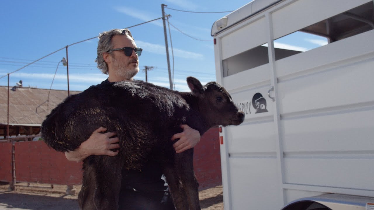 Joaquin Phoenix carries calf out of slaughterhouse
