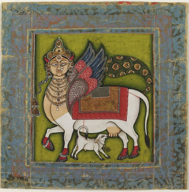 Kamadhenu the wish granting cow