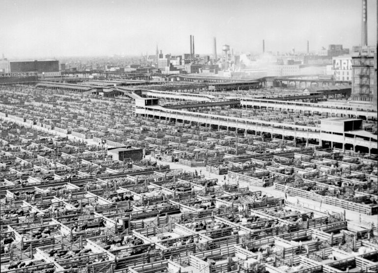 The maze of livestock pens and walkways at the Union Stock Yards, Chicago, Illinois, USA 1947