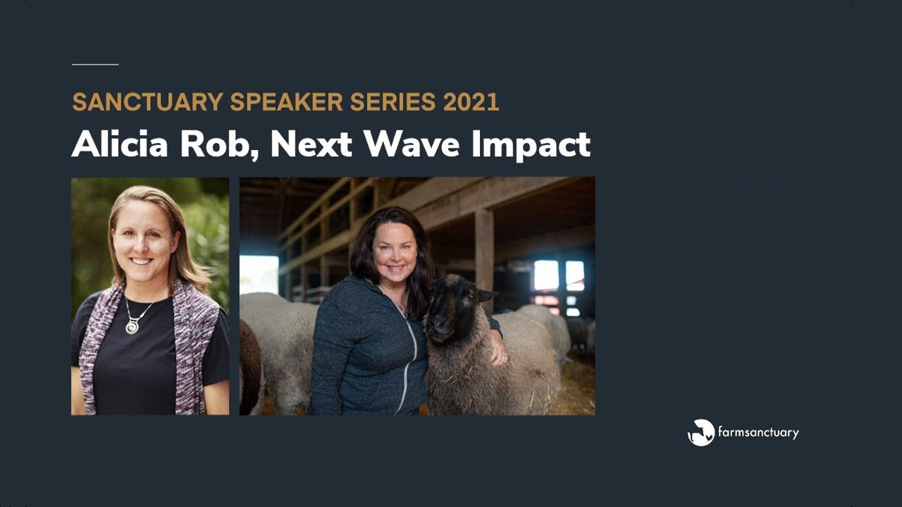 Sanctuary Speaker Series: Alicia Robb of Next Wave Impact