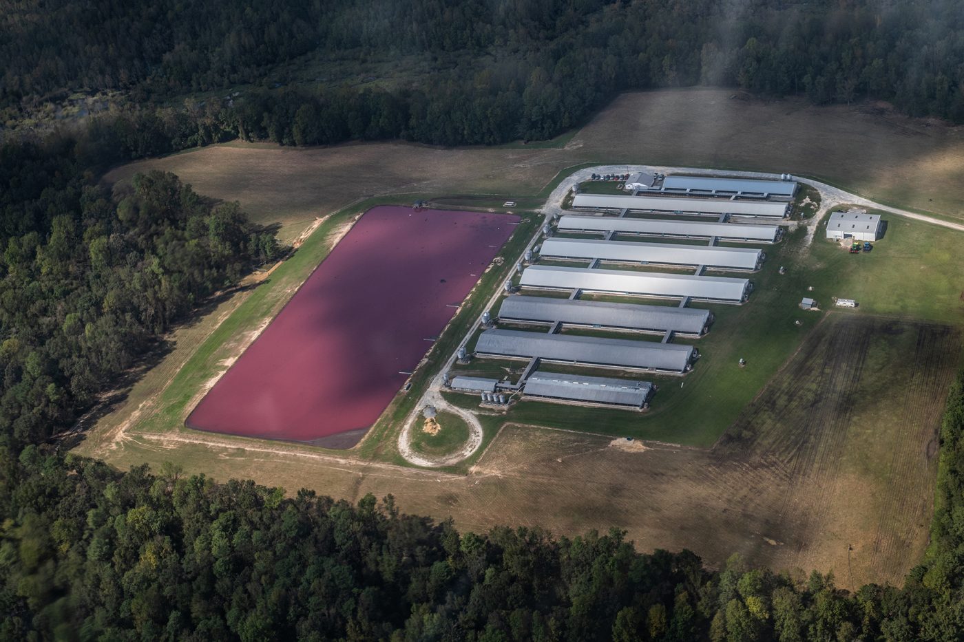 Aerial view of CAFO