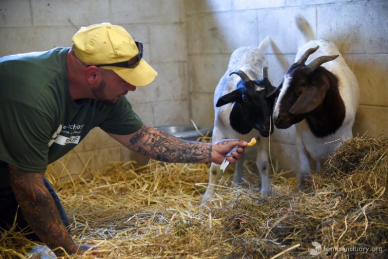 Reiman, Taylor and human caretaker