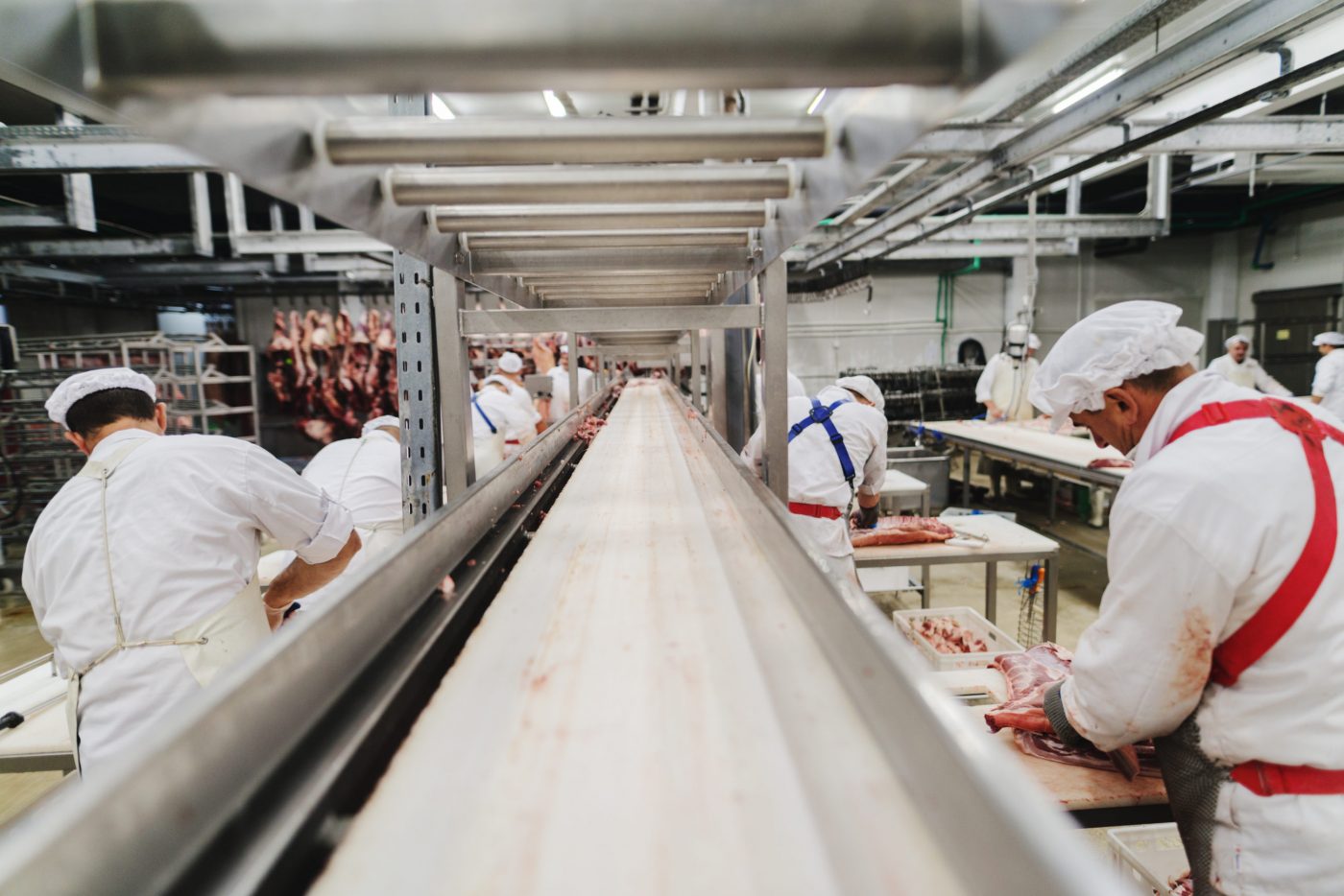 Vertical explainer photo 2 - Workers standing in a meat processing facility