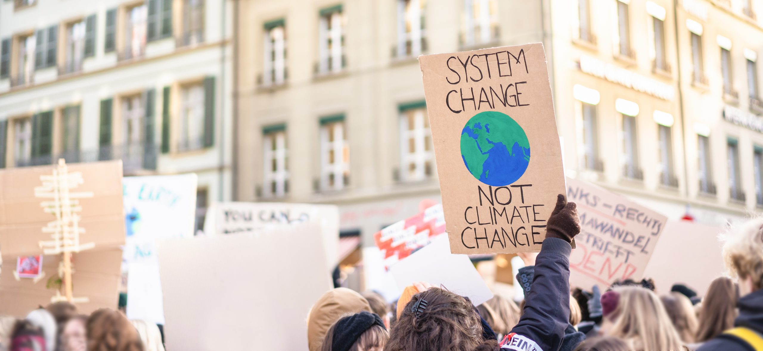 A protestor holds a sign saying "System Change Not Climate Change"