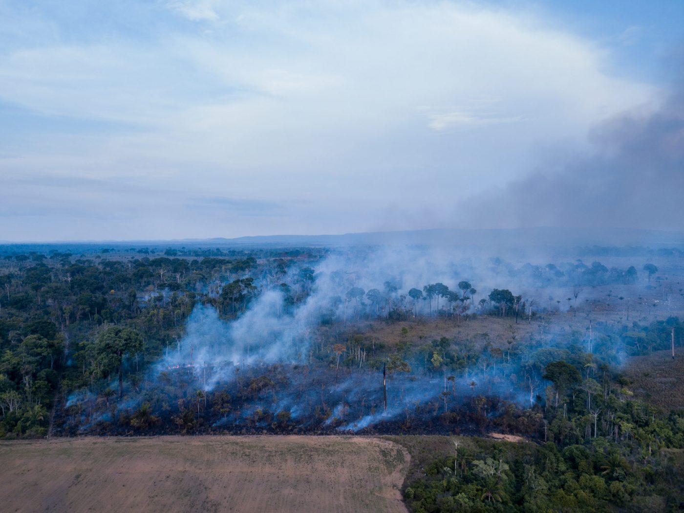 Burning of the Amazon rainforest at dusk to increase livestock grazing area and agriculture activities Area already deforested in the foreground.