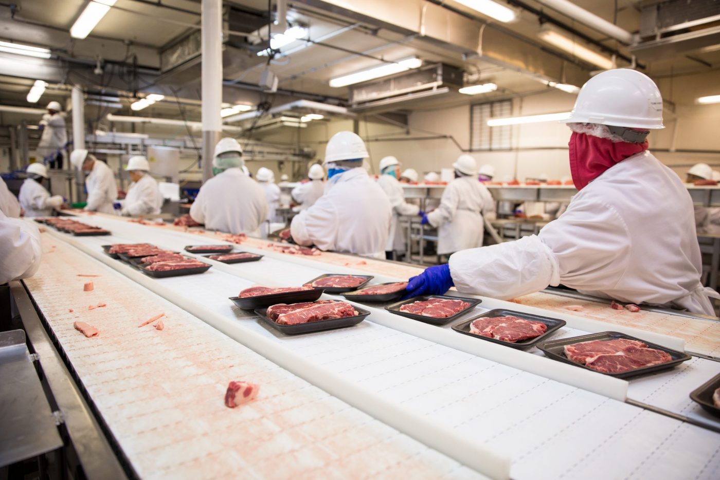 Workers handle meat organizing packing shipping loading at factory plant