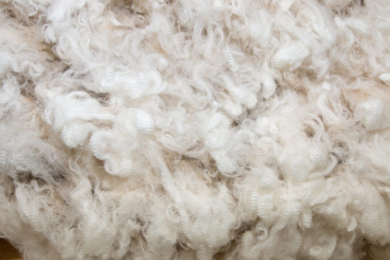 White Merino Wool