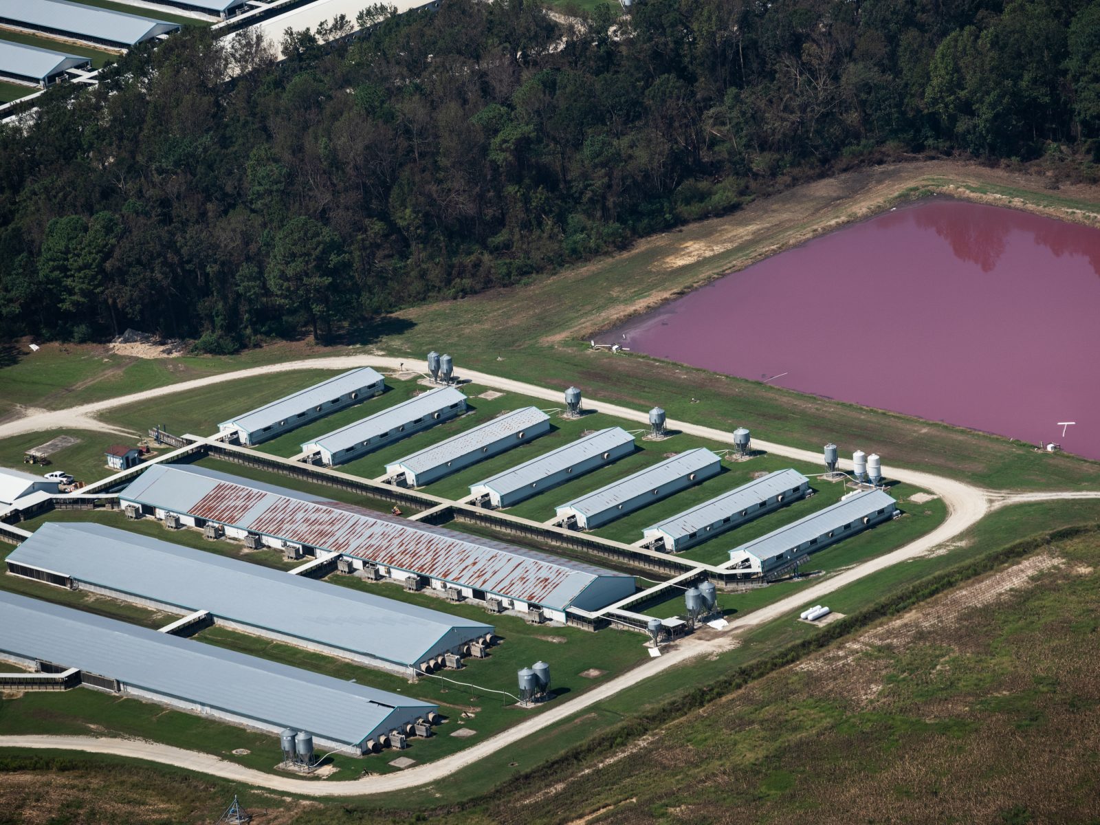 Aerial view of CAFO barns and manure lagoons in North Carolina