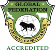 Global Federation Accredited