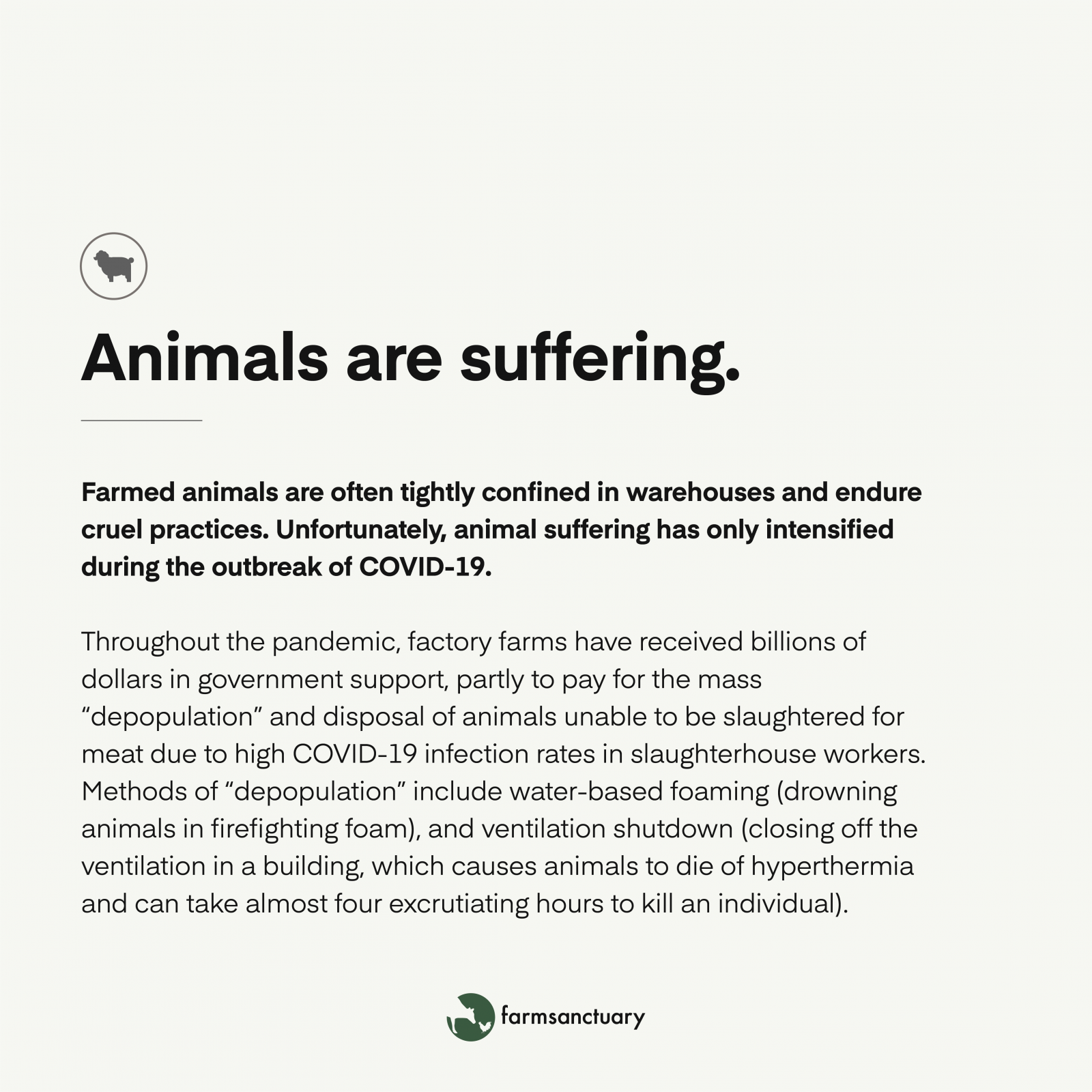 COVID-19 and our food system infographic.