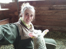 farm-sanctuary-watkins-glen-ny